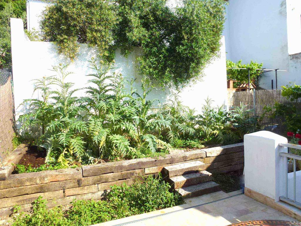 Casa Rural El Aljibe Benamahoma Exterior photo
